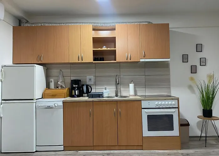 公寓 Urosevic 雅戈丁那